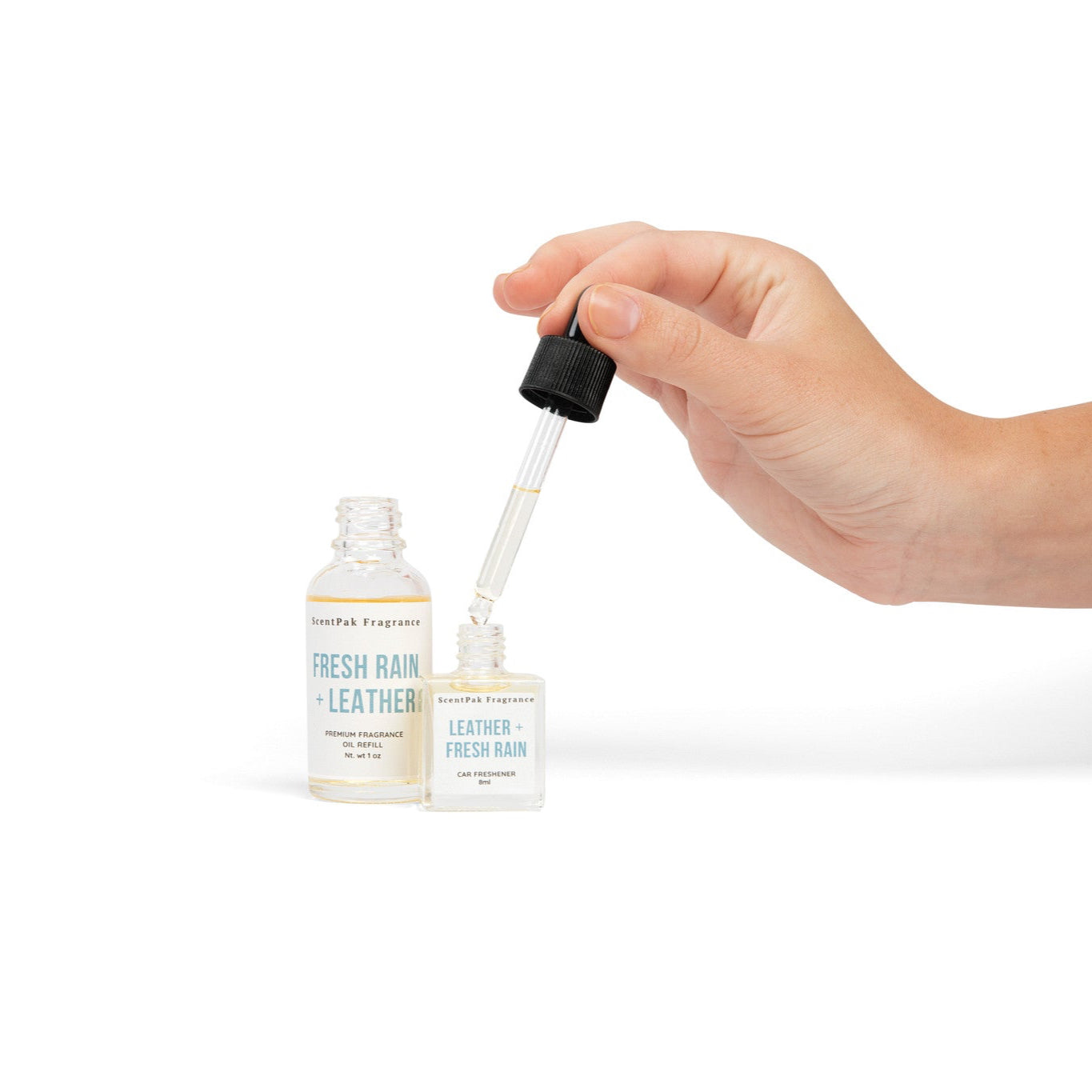 Amber & Musk | Car Freshener