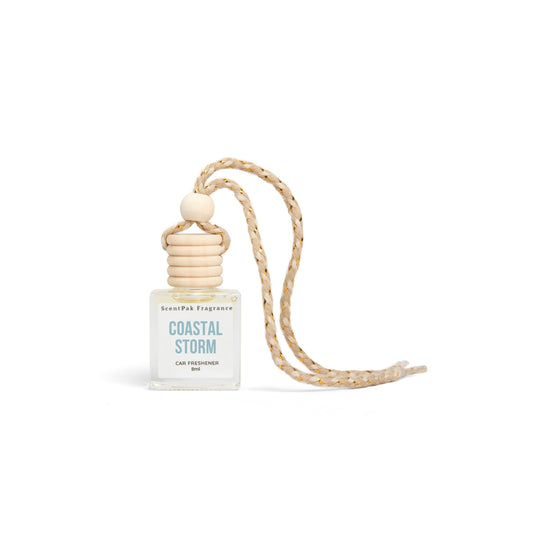 Coastal Storm | Car Freshener
